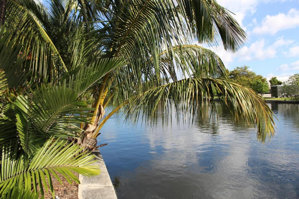 The Cabanas Guesthouse & Spa - Gay Resort Catering To Gay Men Oakland Park Exterior foto